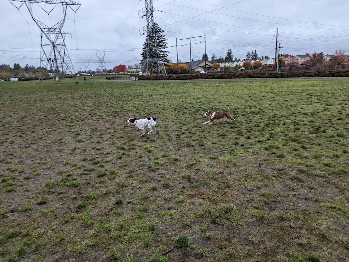 Dakota Dog Park 4