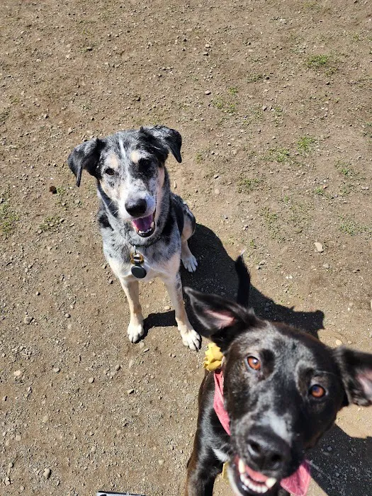 Dakota Dog Park 10