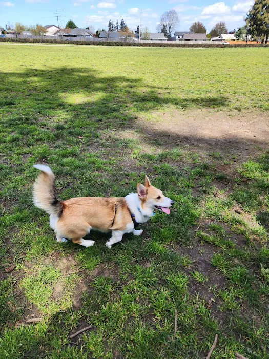 Dakota Dog Park 8