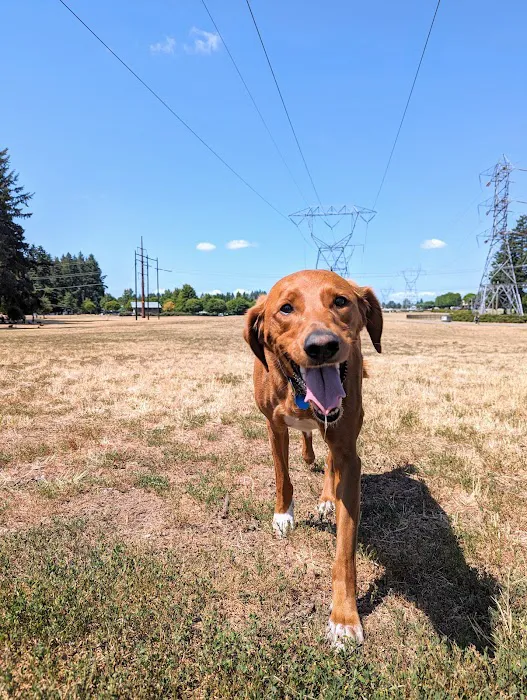Dakota Dog Park 9
