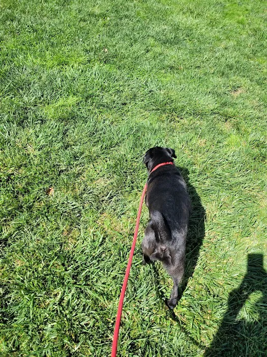 Cornelius Dog Park 9