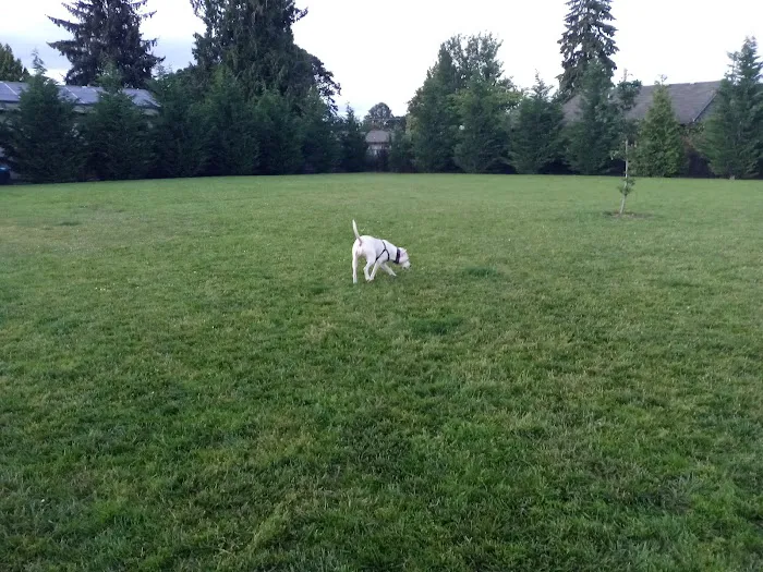 Cornelius Dog Park 3
