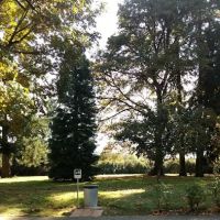 Dog Park w/Tables ico