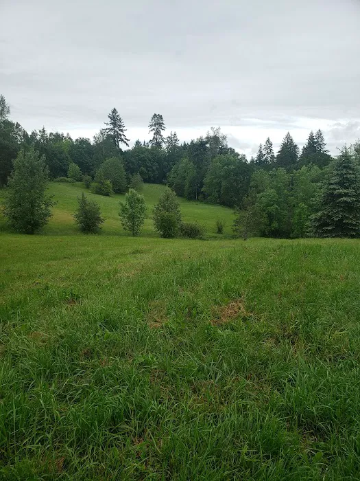 Newberg Dog Park 3