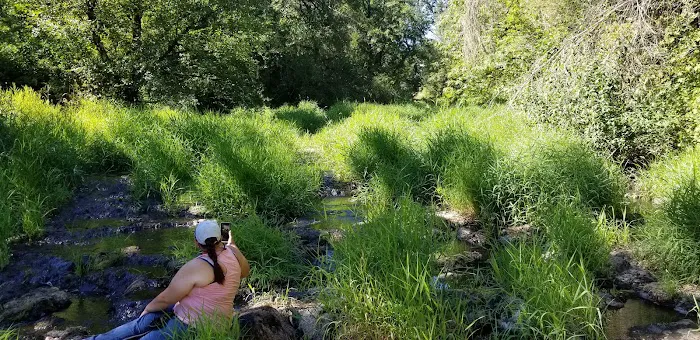 Newberg Dog Park 1