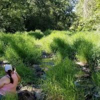 Newberg Dog Park ico