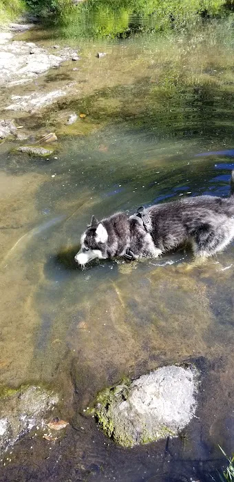 Newberg Dog Park 2