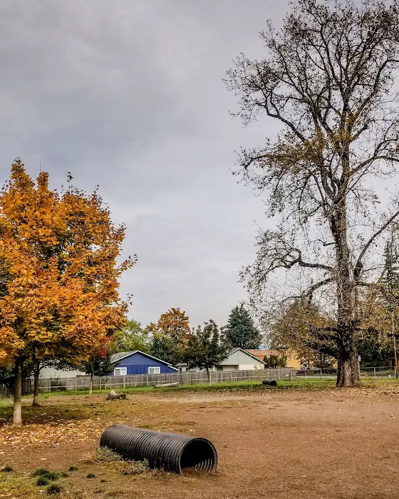Newberg Dog Park 9