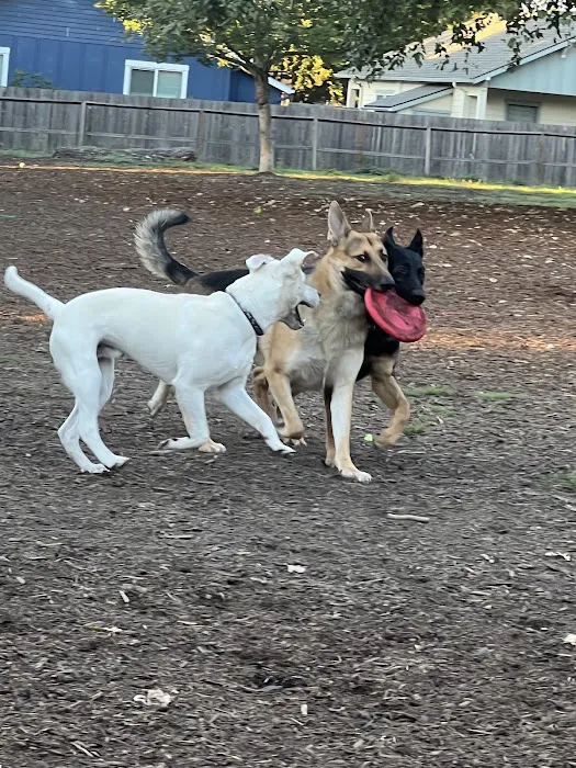 Newberg Dog Park 10
