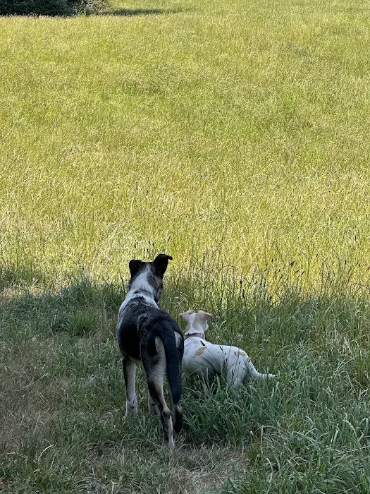 Lucky Memorial Dog Park 7