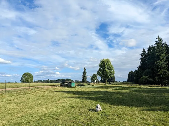 Lucky Memorial Dog Park 5
