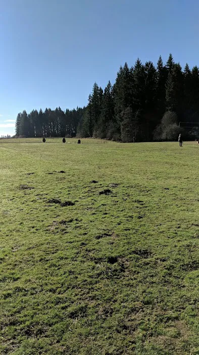 Lucky Memorial Dog Park 3