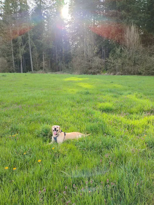 Lucky Memorial Dog Park 10