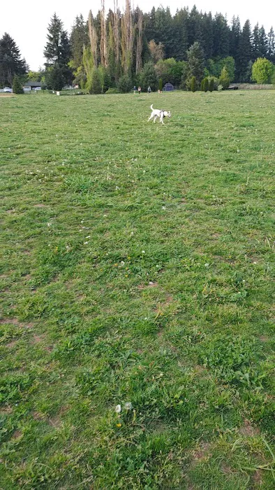 Lucky Memorial Dog Park 2