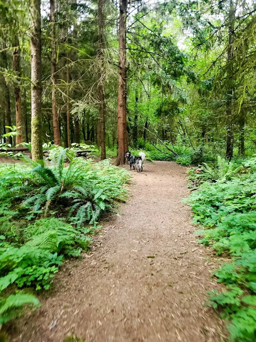 Lucky Memorial Dog Park 6
