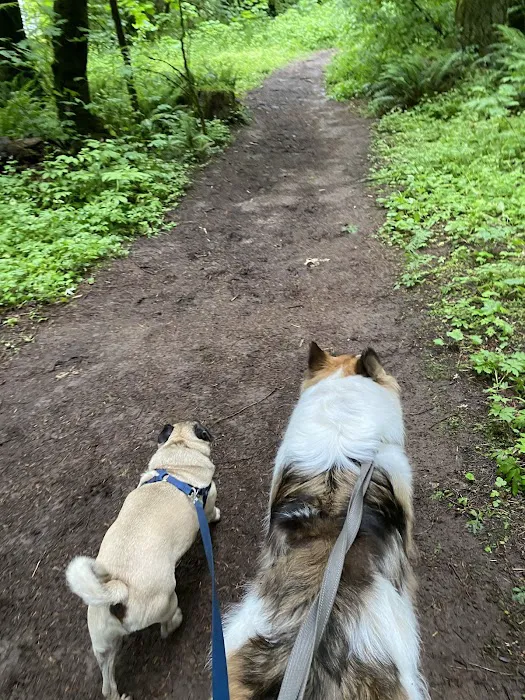 Lucky Memorial Dog Park 8