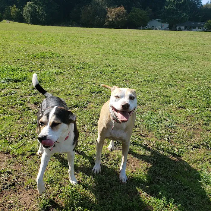 Lucky Memorial Dog Park 9