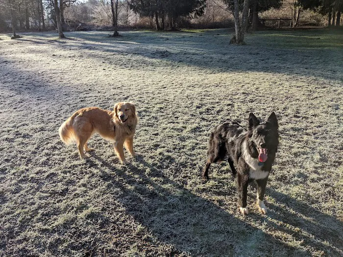 Kane Memorial Dog Park 7