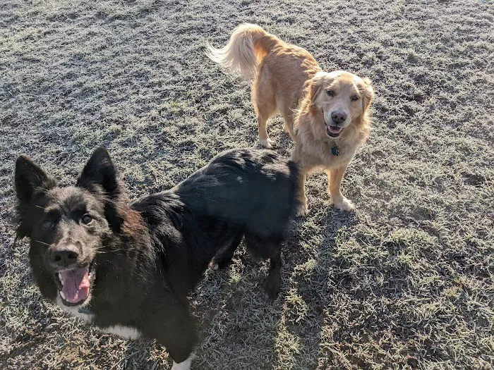 Kane Memorial Dog Park 6