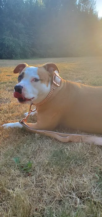 Kane Memorial Dog Park 9