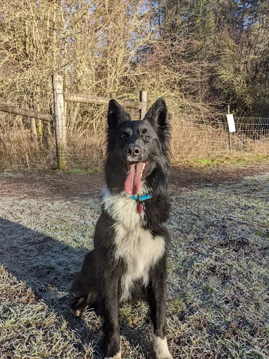 Kane Memorial Dog Park 5