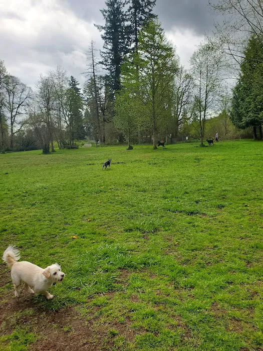 Kane Memorial Dog Park 10