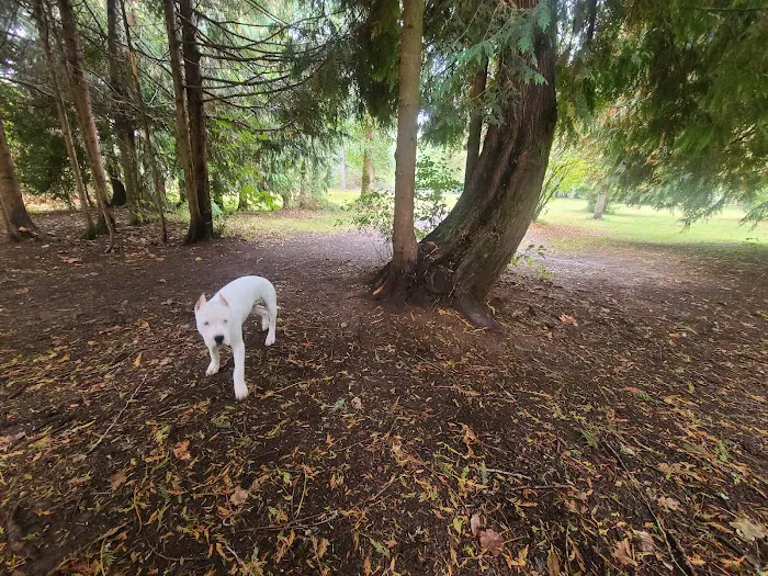 Kane Memorial Dog Park 1