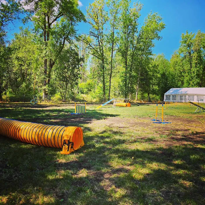 Creekside Pup Park 10