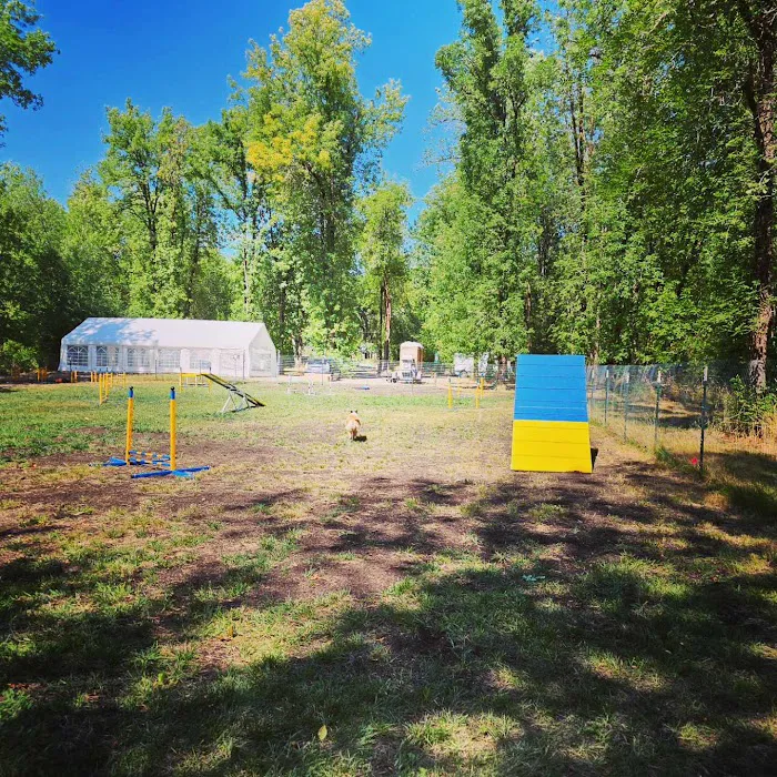 Creekside Pup Park 4