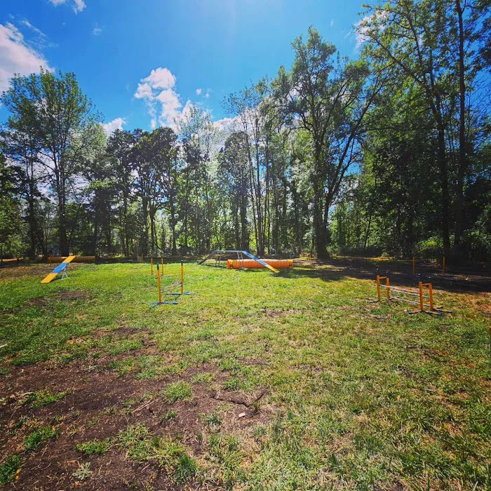 Creekside Pup Park 6