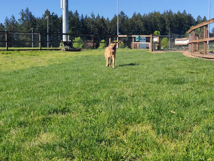 Thatcher Dog Park 1