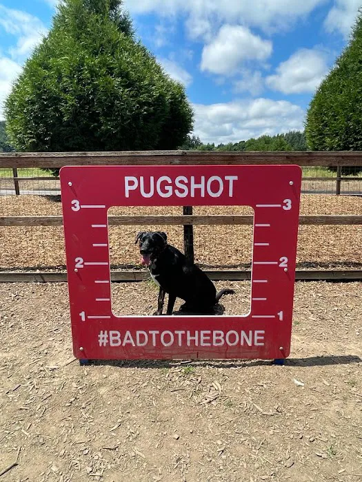 Thatcher Dog Park 6