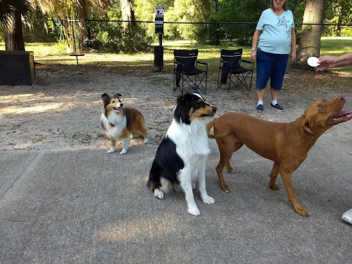 Thatcher Dog Park 5