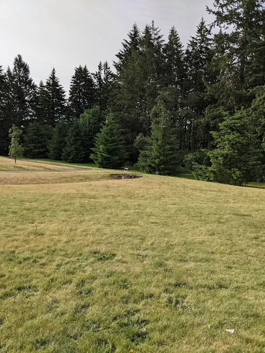 Thatcher Dog Park 10