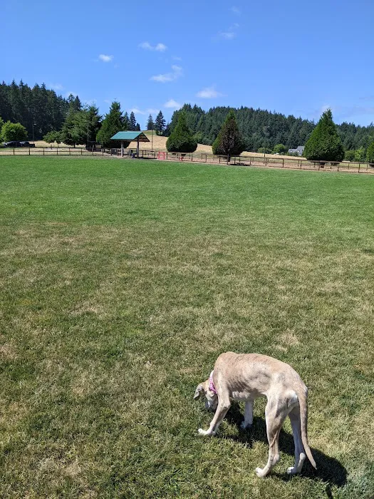 Thatcher Dog Park 9