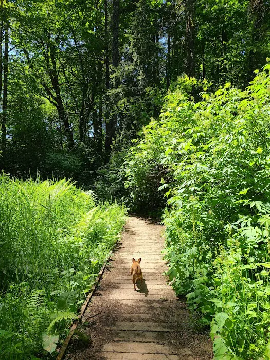 Thatcher Dog Park 4