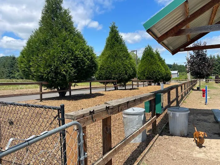 Thatcher Dog Park 3