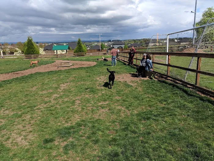 Thatcher Dog Park 2