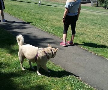 Riverside Dog Park
