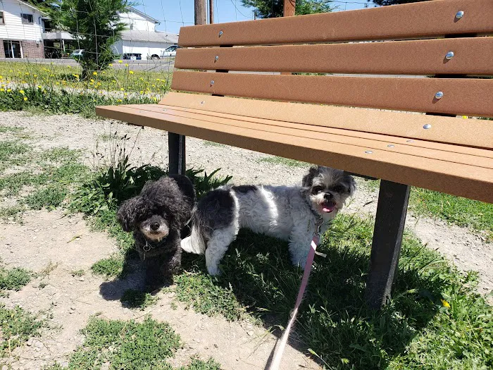 City of Ridgefield Dog Park 9