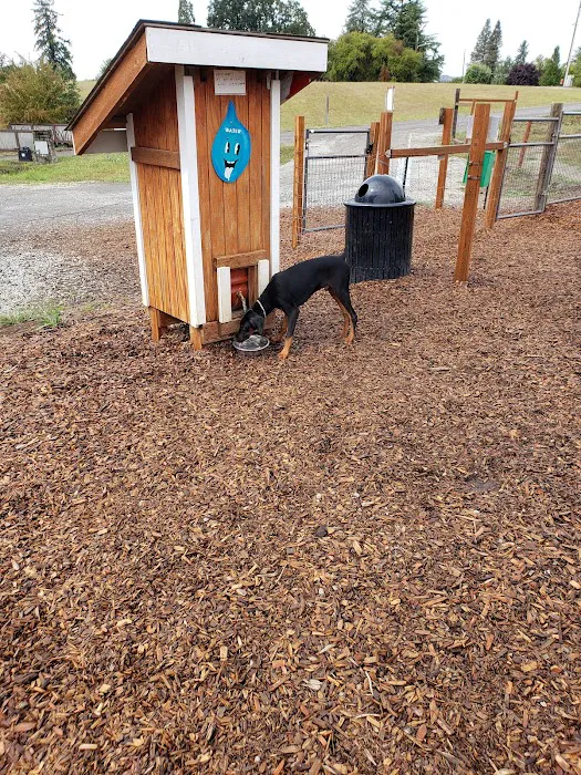 City of Ridgefield Dog Park 10