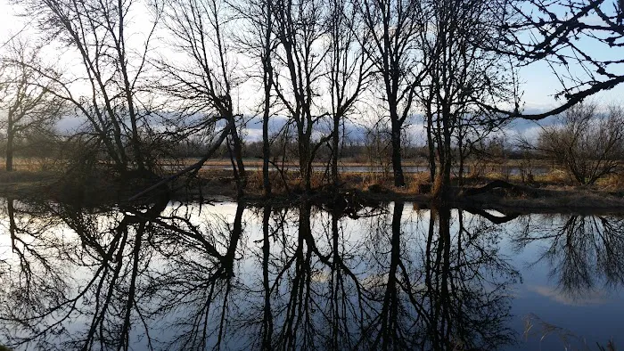 City of Ridgefield Dog Park 3