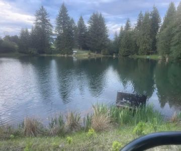 Cedar Ponds Dog Park