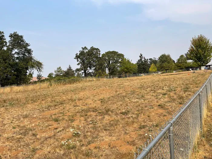 Silverton Dog Park 8
