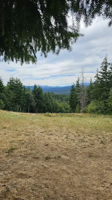 Pet Exercise Area 2