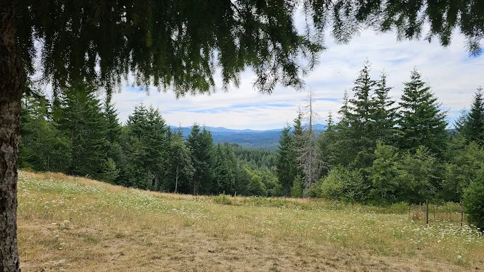 Pet Exercise Area 1