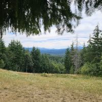 Pet Exercise Area ico