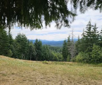 Pet Exercise Area