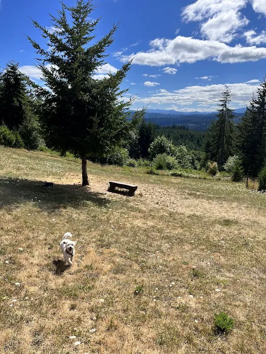 Pet Exercise Area 6