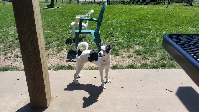 Scappoose Veterans Park - Dog Park 1
